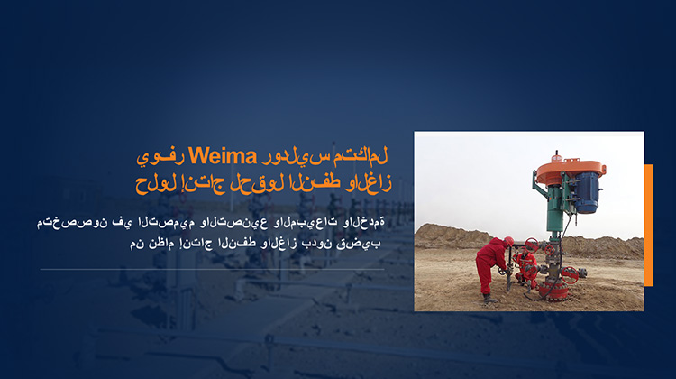 معدات إنتاج النفط بدون قضبان معدات إنتاج النفط بدون قضبان