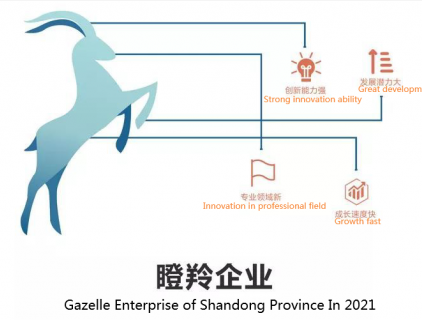 تم منح Weima Pump كمشروع غزال في مقاطعة شاندونغ في عام 2021